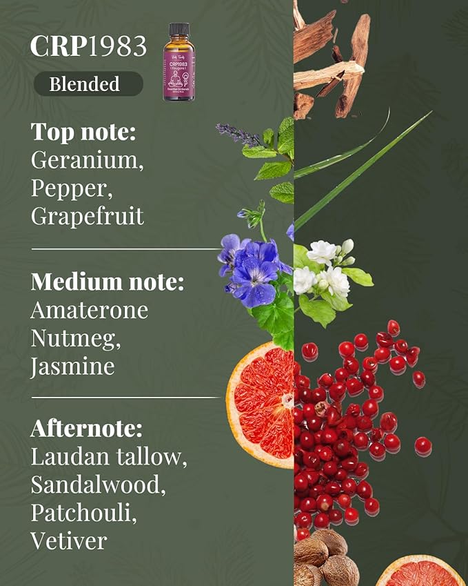 VTS Hotel Scent Essential Oils with Waterless Diffuser, Premium Gift for Women, Couples, Friends (1 fl.oz Fougere Hotel Fragrance Oil x 2 & Portable Diffuser)