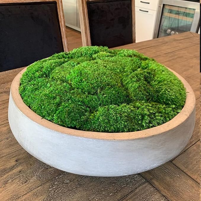Preserved Pole Moss Pillow Bun Cushion Natural Green Decorative Real Natural Green DIY Kit Terrariums Gardenning Art Wall Decor Florist Decor Easter Table Decor Wedding(13.5 sq.ft., Green-B)
