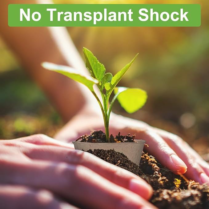 30 Packs Peat Pots, 3.1 Inch Seed Starting Pots Without Drainage Holes, Biodegradable Round Nursery Pot, Starting Seeds of Vegetables, Herbs, and Flowers