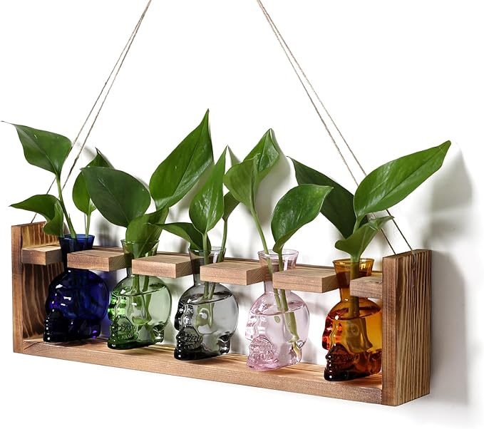 Plant Terrarium Propagation Stations Halloween Skull Planter Vase Skulls Decor with Wooden Stand Gife for Father - 5 Vases