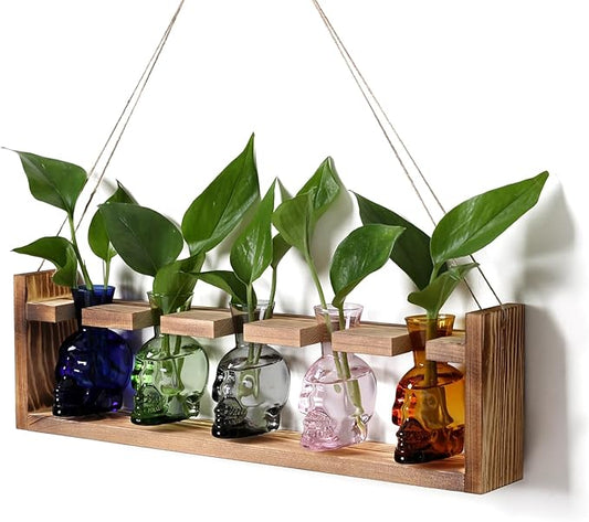 Plant Terrarium Propagation Stations Halloween Skull Planter Vase Skulls Decor with Wooden Stand Gife for Father - 5 Vases