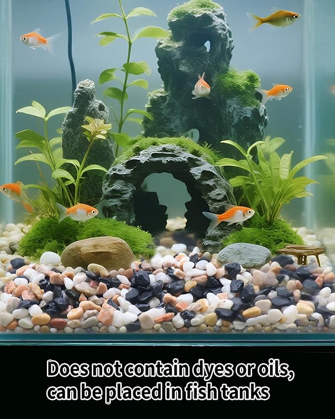 12LB Succulent & Cactus Gravel Pebbles,1/4-3/8 Inch Natural Polished River Rocks Decorative Stones for Succulent Planters,Cactus Pots,Vases,Aquariums,Outdoor Gardening Mixed Colors