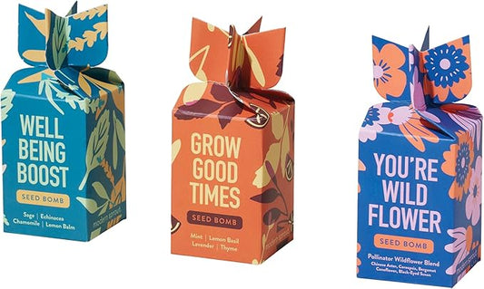 Modern Sprout Seed Bombs - Organic Wildflower & Herbs Seeds for Indoor/Outdoor Gardening - Party Favors and Eco-Friendly Gift for Plant Lovers - Includes 12 Hand-Rolled Seed Balls - Made in The USA