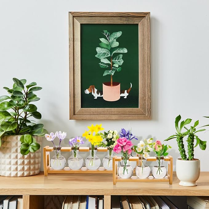 2 Pack Plant Propagation Stations, Desktop Plants Terrarium with Wooden Stand, Water Propagation Station, Hydroponic Plant Vase with 8 Glass Bulbs, Small Propagated Plants Jar for Home Office