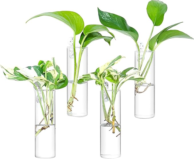 Propagation Station, Plants Terrarium, Plants Lover Gifts for Women,Plant Cutting Holder Home décor,Gifts for Women,House Warming New Home-4 Cylinder Shape
