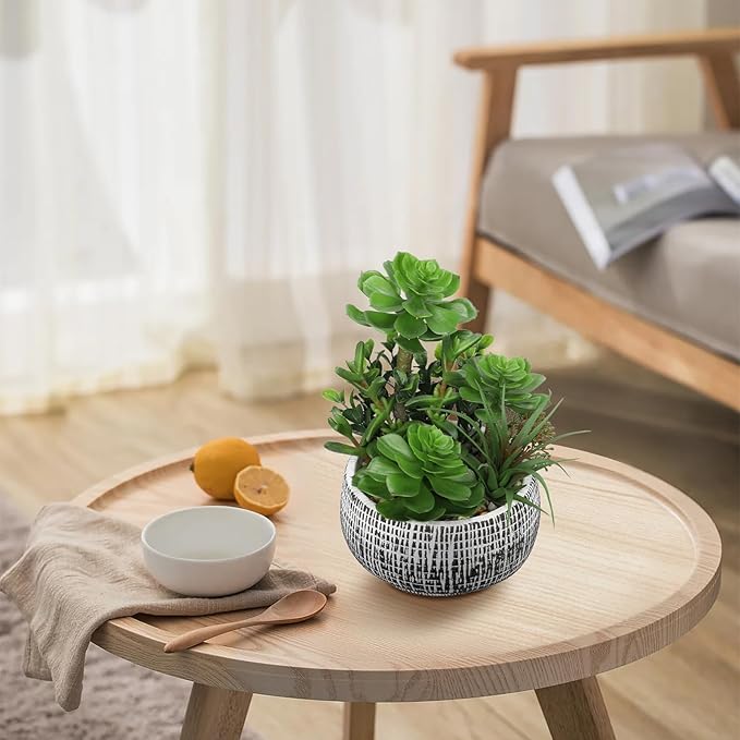 10” Large Succulents Plants Artificial in Ceramic Pots Potted Faux Succulent Arrangement with Black Bowl Pots Fake Desk Succulents Plants for Home Bathroom Shelf Table Indoor Decor