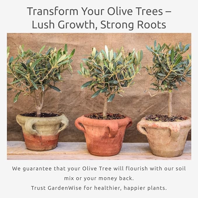 Organic Olive Tree Potting Mix – Fast-Draining, Nutrient-Rich Soil for Indoor & Outdoor Olive Trees – Mediterranean Plant Care – Long-Lasting Formula (10 QUARTS)