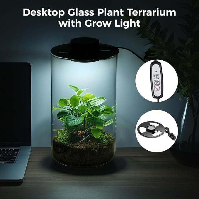 Mini Desktop Glass Plant Terrarium with Grow Light - Planter for Succulent Moss Miniature Gardening Landscape, Fish Tank Indoor Plant Growth Office Home Decoration Plant Lovers Gifts