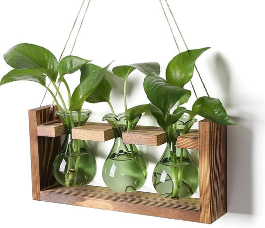 Plant Propagation Station Plant Terrarium Unique Birthday Gifts for Women Home Office Decor Planter with Wooden Stand - 3 Bulb Glass Vase