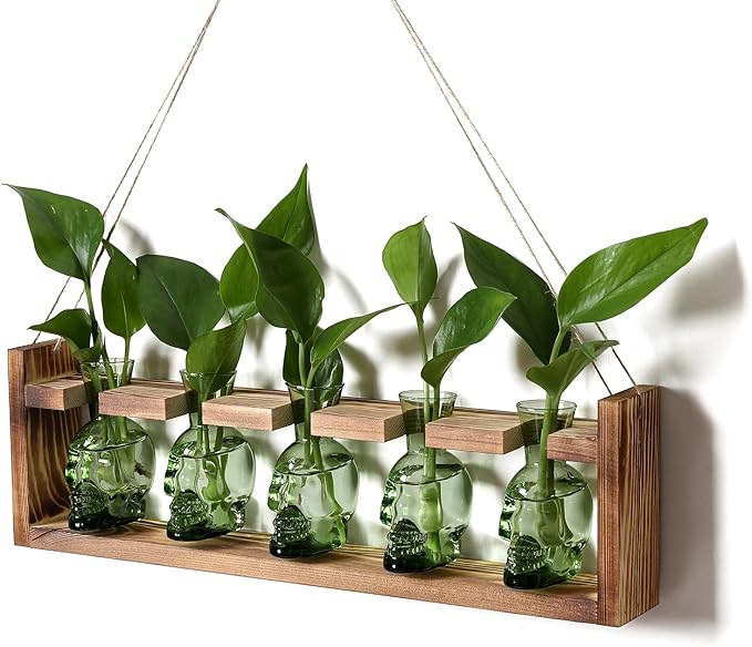 Plant Terrarium Propagation Stations Halloween Skull Planter Vase Skulls Decor with Wooden Stand Gife for Father - 5 Vases