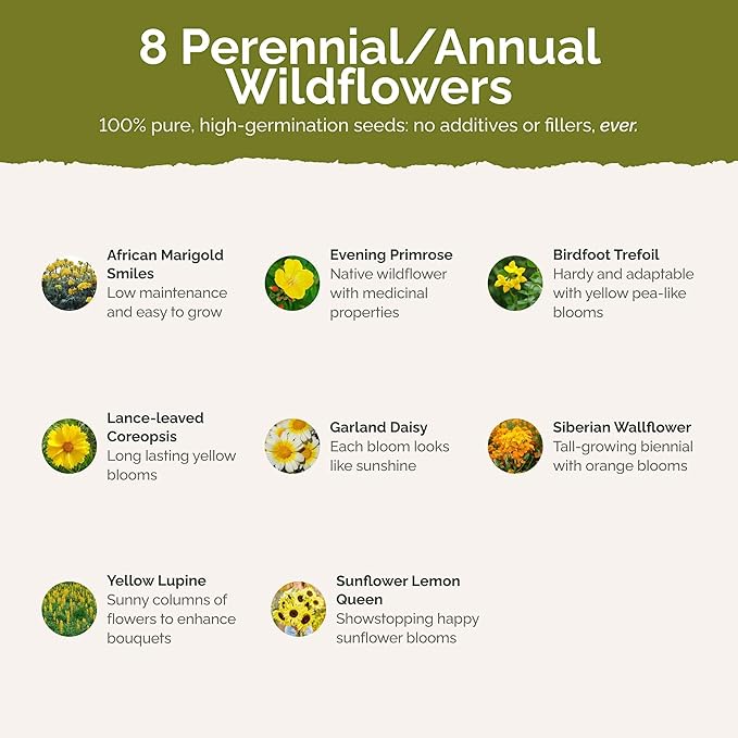Eden Brothers Ole Yeller Wildflower Mixed Seeds for Planting, 5 lb, 2,400,000+ Seeds with African Marigold, Sunflower | Attracts Pollinators, Plant in Spring or Fall, Zones 3, 4, 5, 6, 7, 8, 9, 10