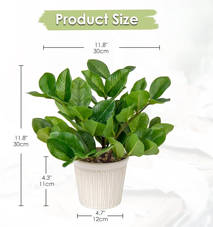 Briful Fake Plants 12'' Artificial ZZ Plants in Ceramic Pot Faux Zamioculcas Potted Silk Plants for Home Living Room Office Desk Decor Bedroom Aesthetic(1PACK)