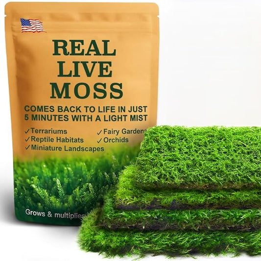 Real Live Moss – 4 Types Live Moss for Terrariums, Fairy Gardens, Reptile Habitats & Mini Landscapes | Revives in 5 Minutes with Water Mist, Soft Green Texture, Easy to Grow (4-Pack, 3.5”x7”)