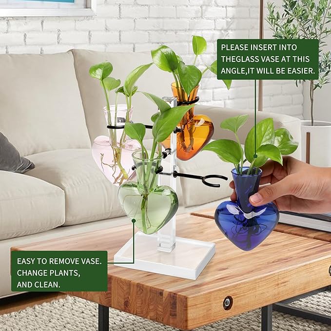 Plants Propagation Stations Plant Terrarium Kit Gift for Women Birthday Glass Planters for Indoor Plants Home Office Decor Acrylic Plant Accessories - 4 Love Hear Vase