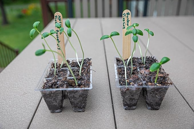 Gardzen 30 Pack 6-Cell Seed Starting Tray for Seedlings, Plant Starter Trays with Drainage Holes for Seed Germination, 5.4x3.7 inches, Clear