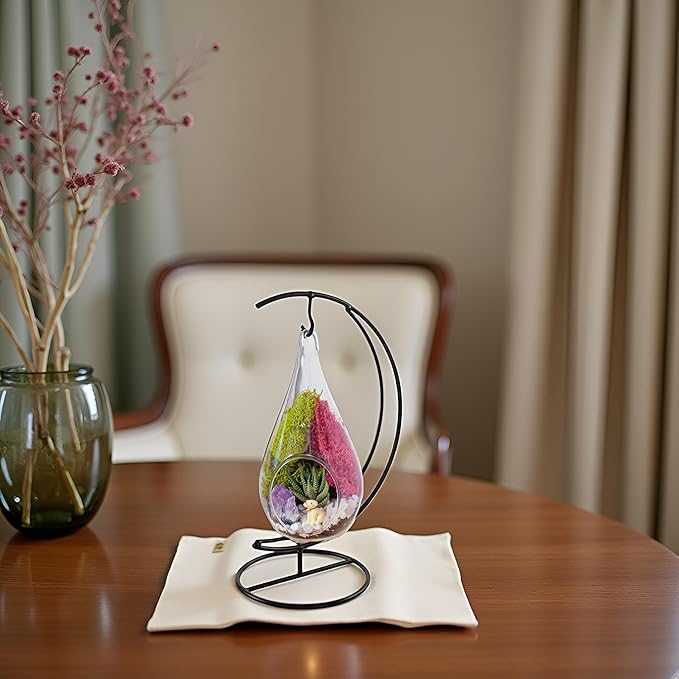 7" DIY Teardrop Terrarium Kit with Live Plants - Hanging Glass Planter with Stand for Adults & Kids - Build a Mini Ecosystem with Moss, Crystals, Tools - Made in The USA