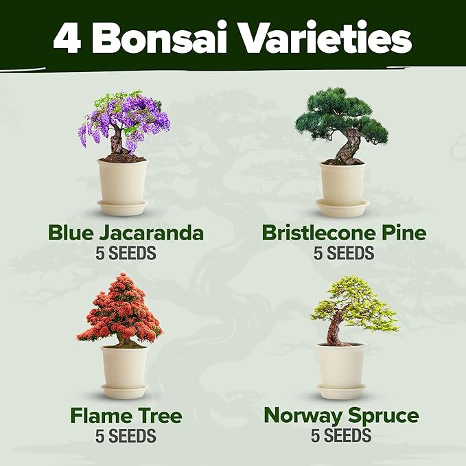 Bonsai Tree Kit 𝗨𝗦𝗔 Gifts for Men & Women - Grow 4 Bonsai Trees - Unique Gardening Crafts for Adults, DIY Hobbies for Plant Lovers & Gardeners - Unusual Christmas Gift Ideas for Mom & Dad