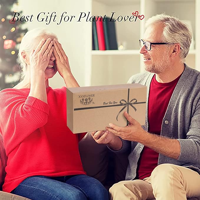 XXXFLOWER Plant Terrarium Wooden Stand with 5 Test Tubes,Glass Planters for Indoor Plants,Plant Lover Gifts for Women Garden Office Decoration