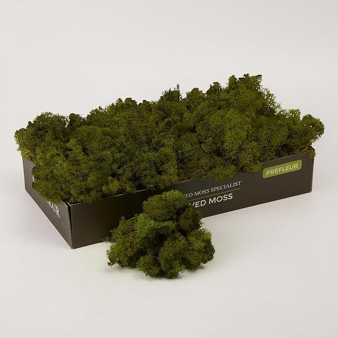 Preserved Reindeer Moss Natural Green DIY Kit Gardenning Art Wall Decor Florist Decor Easter Table Decor Wedding