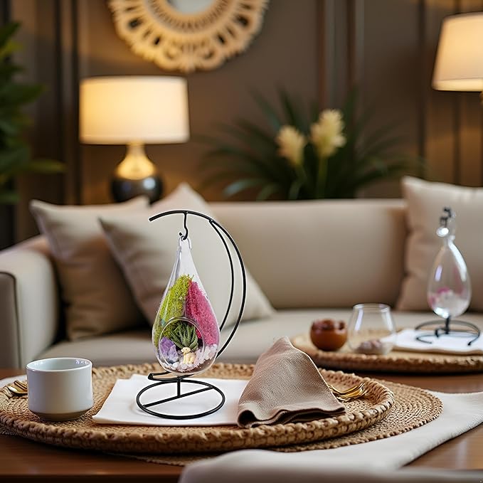 7" DIY Teardrop Terrarium Kit with Live Plants - Hanging Glass Planter with Stand for Adults & Kids - Build a Mini Ecosystem with Moss, Crystals, Tools - Made in The USA