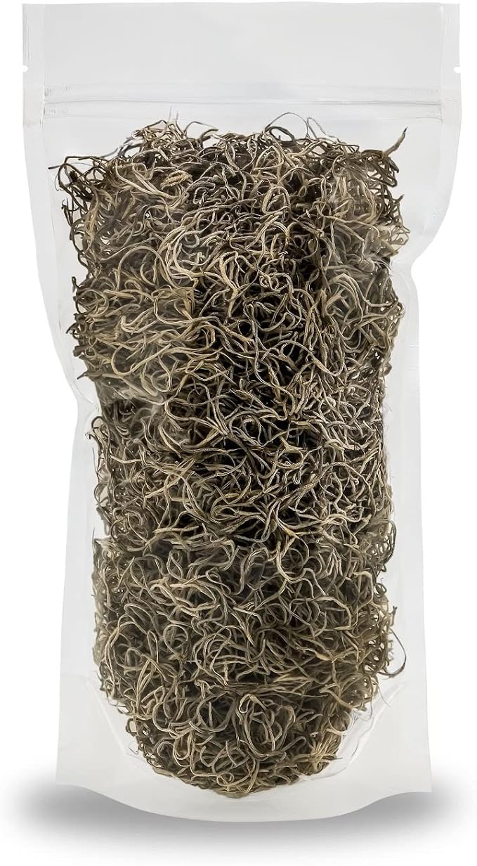 Premium Natural Spanish Moss | Natural Preserved - 10 Quart - Great Ground Cover - Filler for Potted Plants (2 Bags of 5 Quart)