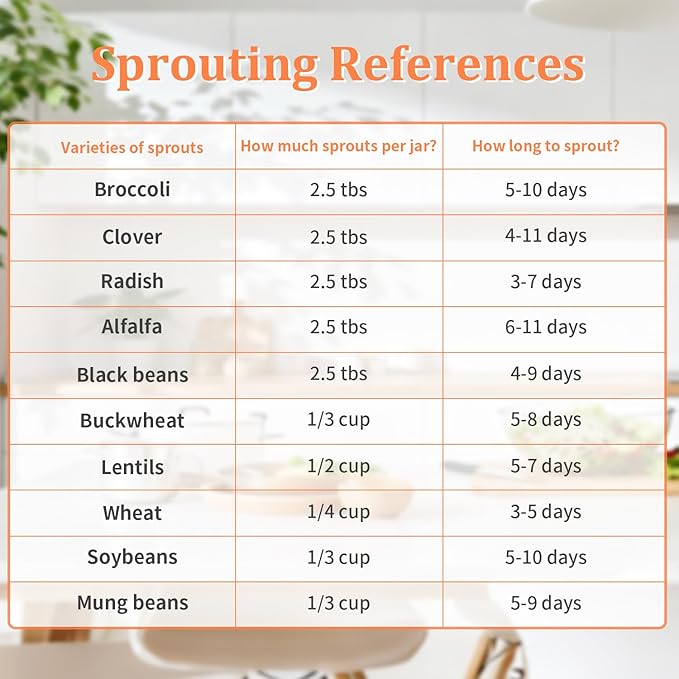 Seed Sprouting Kit with Mung Beans 80g, 2 Large Wide Mouth Mason Jars with Sprout Lids, Blackout Sleeves, Drain Tray, Stainless Steel Stand, Sprouts Growing Kit for Growing Bean Alfalfa Sprout Seeds