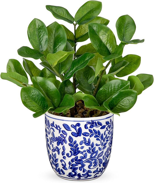 Briful Faux Plants Indoor 11.8in Fake ZZ Silk Plant in Blue and White Ceramic Pot Realistic Artificial Tropical Plant for Home Office Room Kitchen Shelf Decor