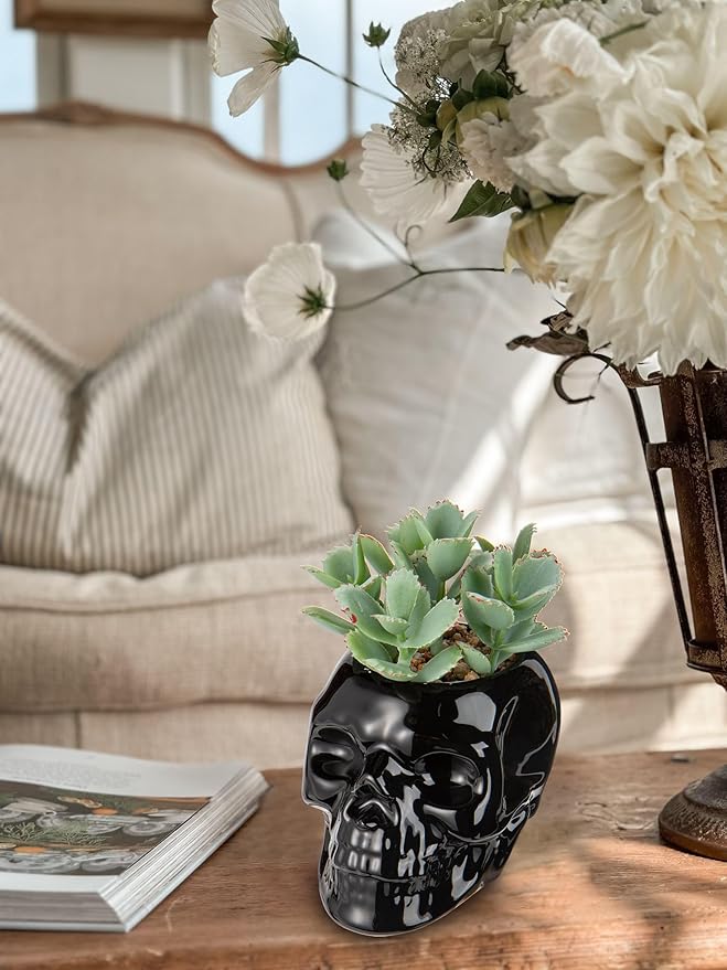 Small Fake Succulents Plants Artificial Succulents in Pots Set of 2 Mini Succulent Plant Realistic Faux Plants Skull Artificial Succulent Plants for Home Office Table Bedroom Bathroom Shelf Decor