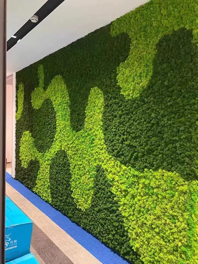 Preserved Reindeer Moss Natural Green DIY Kit Gardenning Art Wall Decor Florist Decor Easter Table Decor Wedding