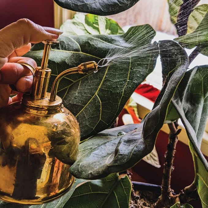 Watering Can Indoor Plants - Brass Plant Mister - Stylish and Rust Resistant Watering Cans for Healthy Hydration - Prevents Overwatering