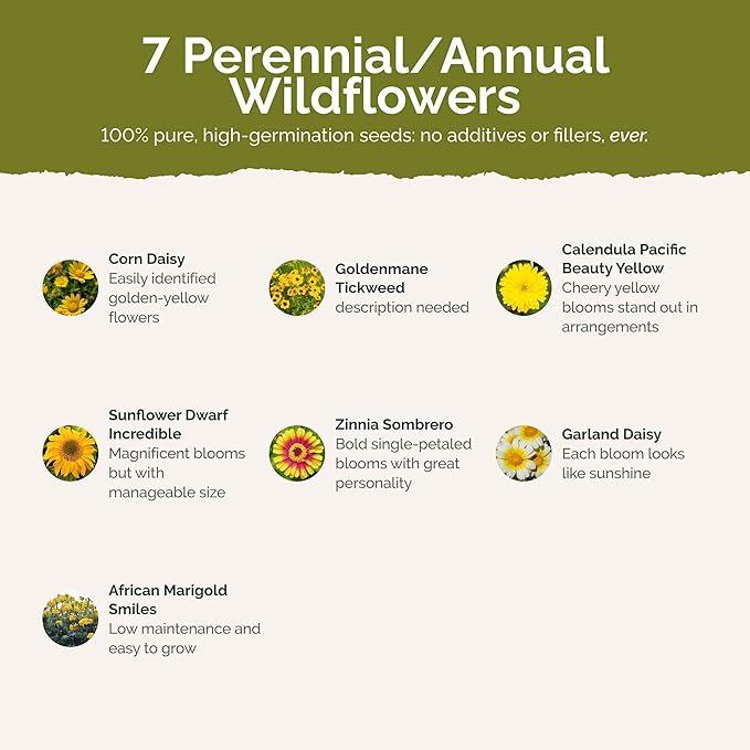 Eden Brothers Mellow Yellow Flower Mixed Seeds for Planting, 1/4 lb, 120,000+ Seeds with Painted Daisy, Zinnia, Cosmos | Attracts Pollinators, Plant in Spring or Fall, Zones 3, 4, 5, 6, 7, 8, 9, 10