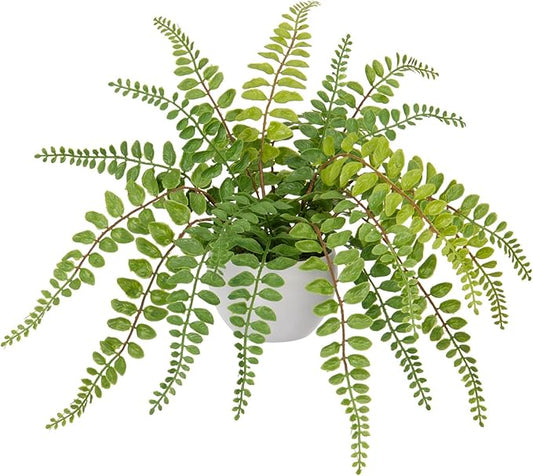 Hollyone Artificial Fern Potted Plant for Outdoors Indoors - Lifelike Faux Boston Fern in White Pot for Garden, Patio, Home, Farmhouse, Windowsill, Office, Living Room, Desk Decoration