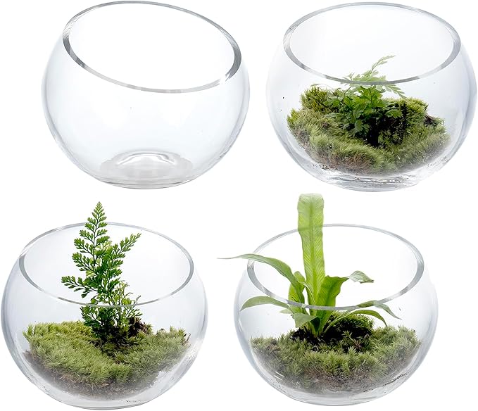 MyGift Premium Hotel Series 5 Inch Round Clear Glass Air Plant Terrariums, Mini Candy Bowl Jars, Tealight Candle Holders, Succulent Cactus Vases, Set of 4