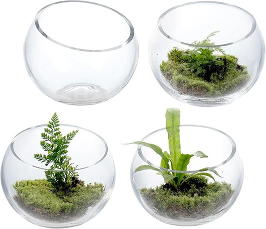 MyGift Premium Hotel Series 5 Inch Round Clear Glass Air Plant Terrariums, Mini Candy Bowl Jars, Tealight Candle Holders, Succulent Cactus Vases, Set of 4