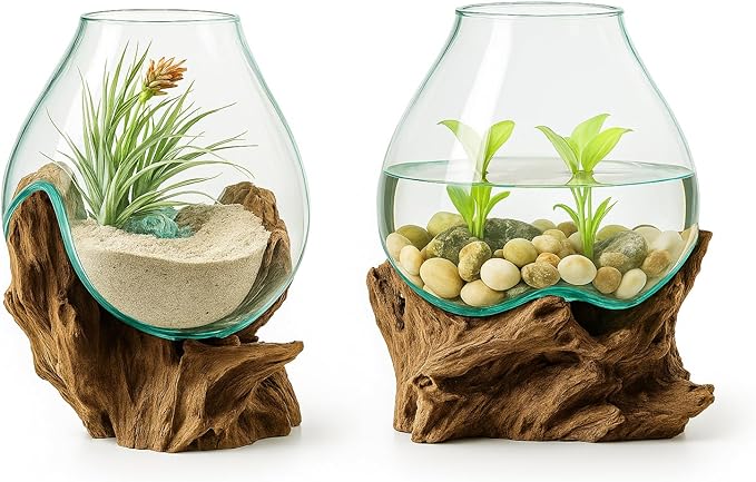 OMA Hand Blown Molten Glass on Driftwood Terrarium Vase or Planter – Recycled Glass & Natural Wood for Coastal & Boho Home Décor (12"–14" High)