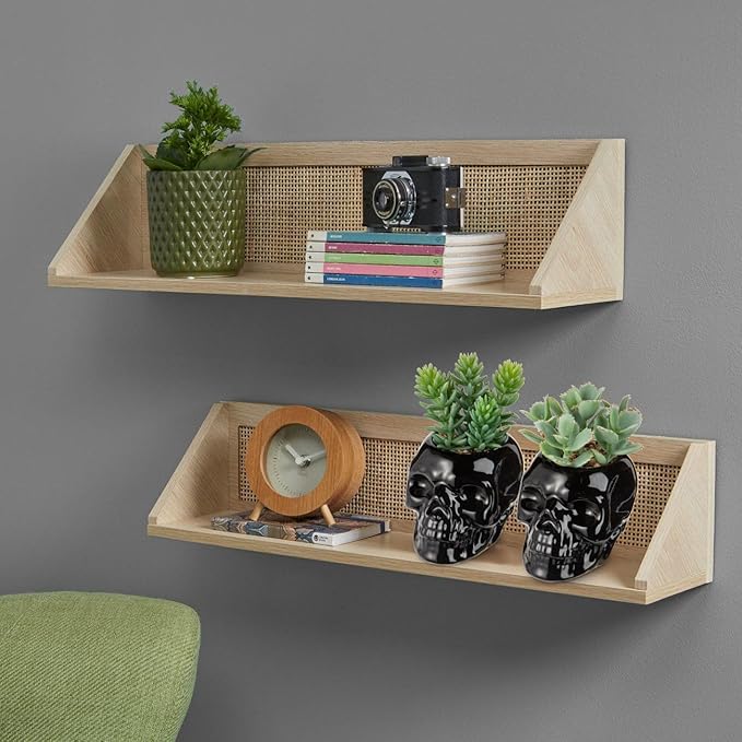 Small Fake Succulents Plants Artificial Succulents in Pots Set of 2 Mini Succulent Plant Realistic Faux Plants Skull Artificial Succulent Plants for Home Office Table Bedroom Bathroom Shelf Decor