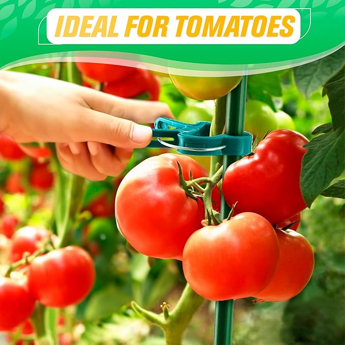 Tomato Clips for Garden - 60 Pcs 2 Sizes Plastic Tomato Plant Clips for Support & Upright Growth, Reusable & Adjustable, Gentle & Reliable Fixation, Easy to Use - for Stems, Flowers, Vines, Vegetables
