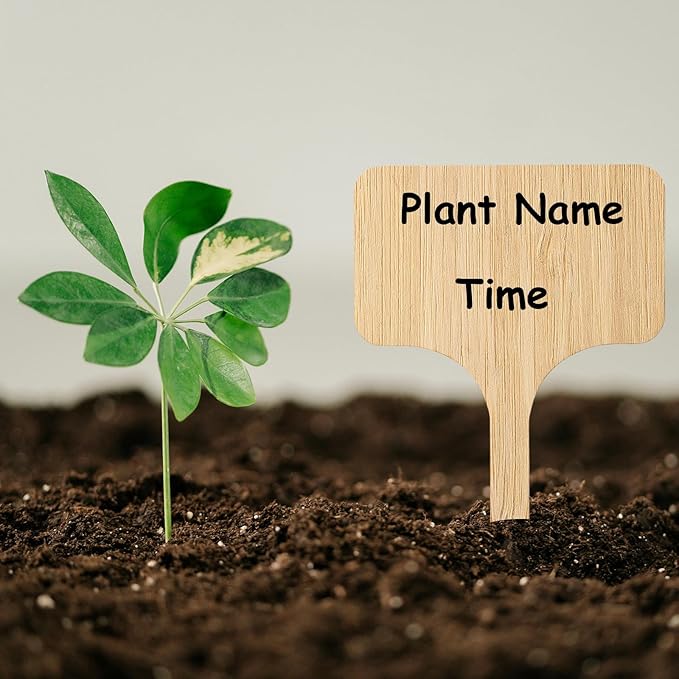 70Pcs Bamboo Plant Labels with 1 Marker Pen, T-Type Natural Seedling Nursery Sign Tags, Wood Garden Markers Decorative Patio Tags for Outdoor Indoor Potted Plants Herbs Flowers Vegetables