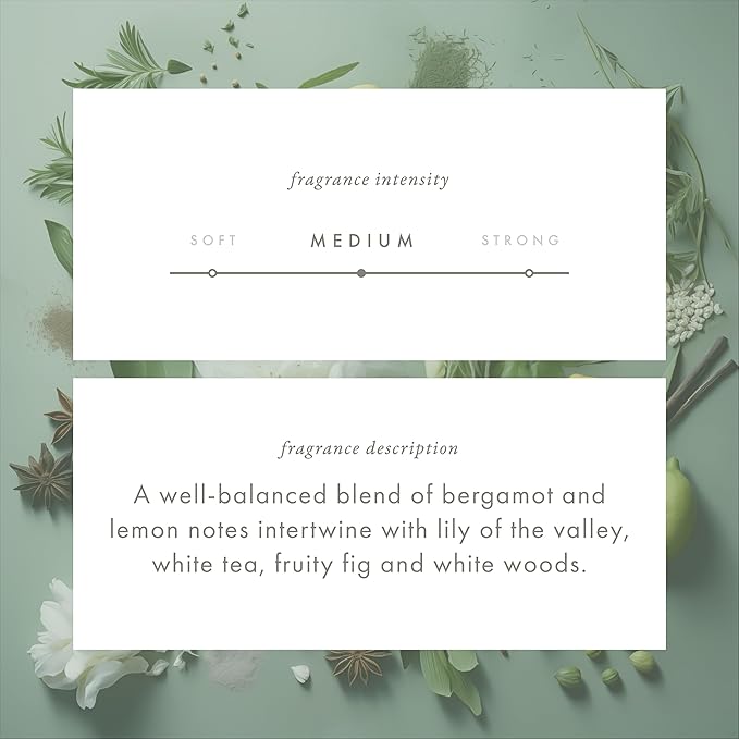 ScentAir Whisper Home Monthly Plug-in Refill, Fragrance Cartridge for Home and Office, White Tea & Fig