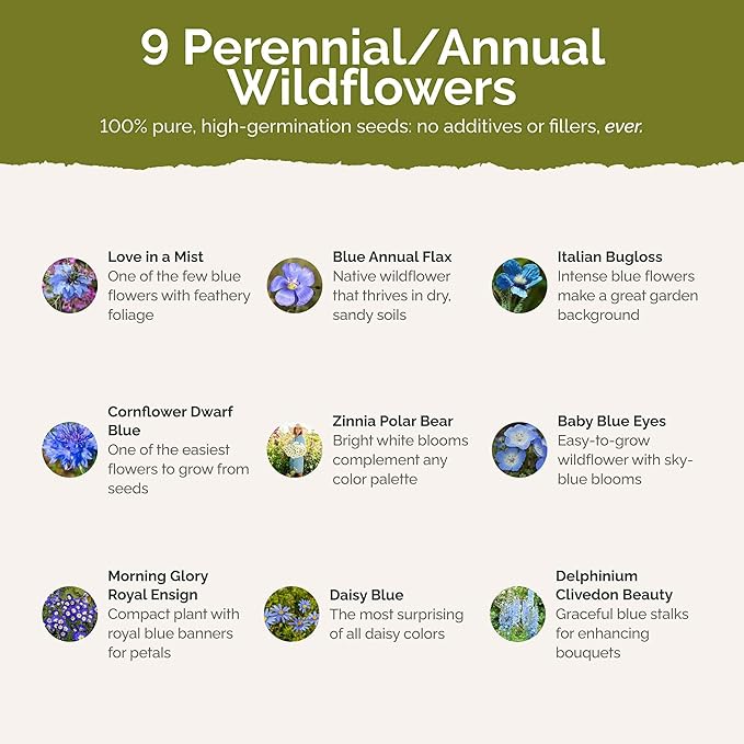 Eden Brothers Blue Ribbon Flower Mixed Seeds for Planting, 1/4 lb, 120,000+ Seeds with Blue Bell, Cornflower Blue, Chicory, Attracts Pollinators, Plant in Spring or Fall, Zones 3, 4, 5, 6, 7, 8, 9, 10