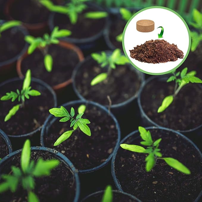 ZeeDix 100 Pcs (40mm) Compressed Coco Coir Fiber Potting Soil Seed Starters - Organic Coco Coir Pellet Fiber Soil for Planting Bonsai, Herbs, Plants, Flowers and Vegetables