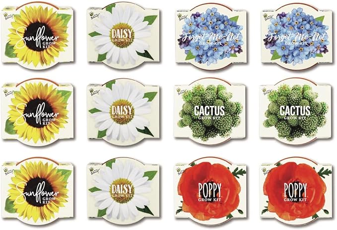 BUZZY Seeds Mini Terracotta Pots 12-Pack with Plant Seeds, Poppy, Sunflower, Daisy, Cactus and Forget Me Not, All-in-One Seed Starter Kit, Indoor Outdoor Gardening Gift, Wedding Favors
