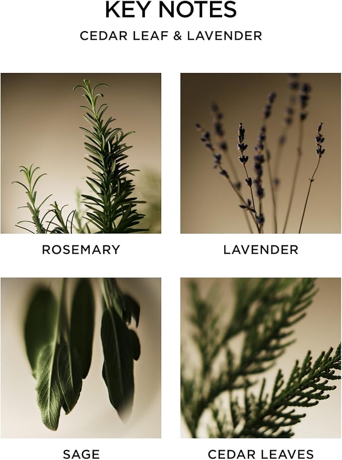 NEST New York Scented 3-Wick Candle, Cedar Leaf & Lavender - 21.2 oz - Up to 100-Hour Burn Time - Reusable Glass Vessel