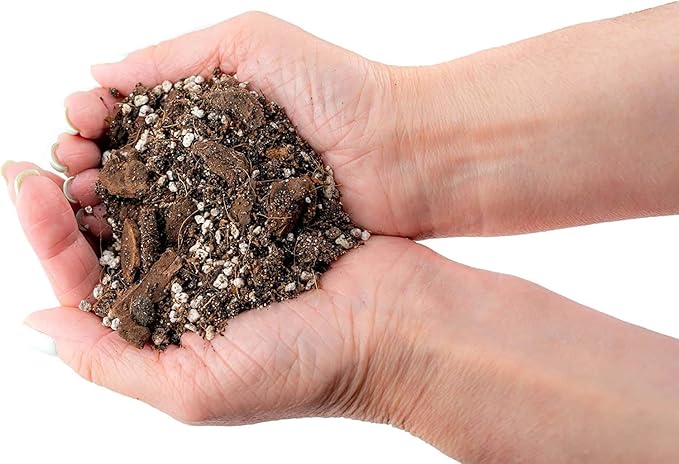 Fiddle Leaf Fig House Plant Soil Premium All Purpose Blend - Peat Moss, New Zealand Bark, Coco Chips and Fibers, Perlite - 1 Quart Bag