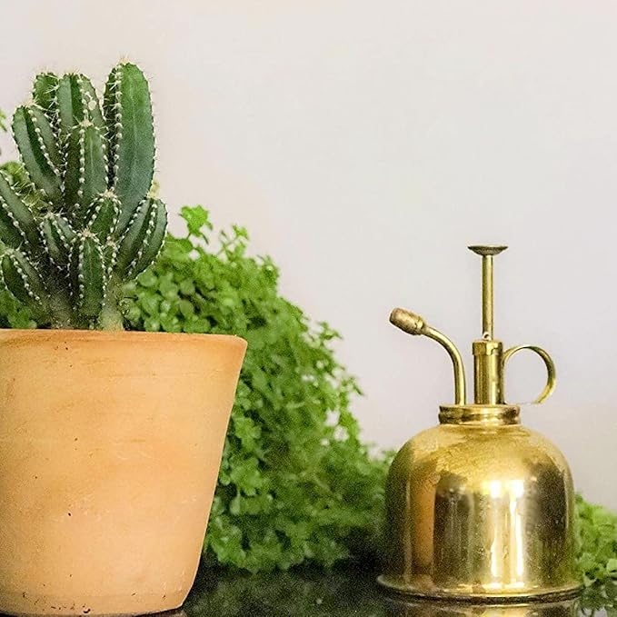 Watering Can Indoor Plants - Brass Plant Mister - Stylish and Rust Resistant Watering Cans for Healthy Hydration - Prevents Overwatering