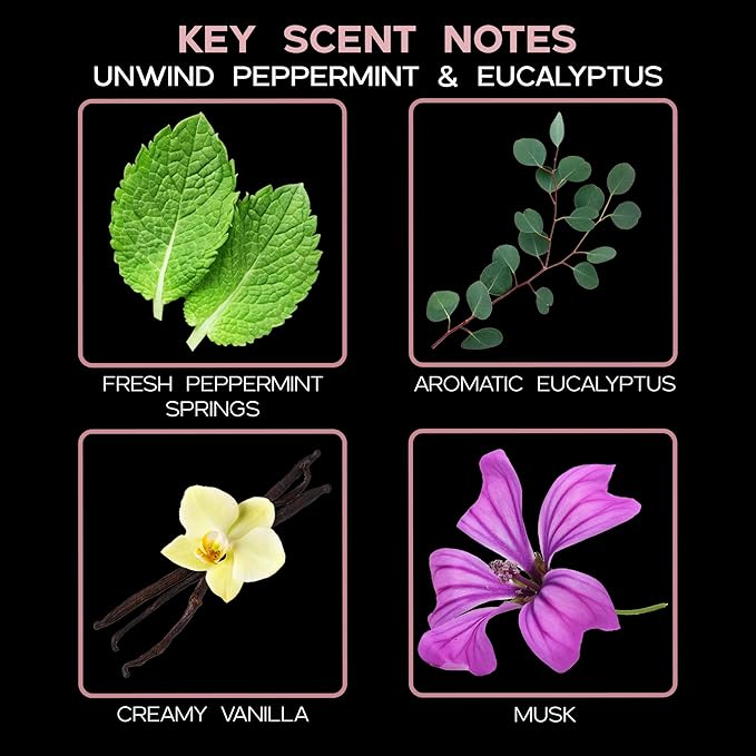 LOVSPA Reed Diffuser Set, Unwind Eucalyptus & Mint Scented Oil Diffuser with Sticks, Home Fragrance Accessories for Bathroom Shelf Decor, Aroma Diffusers for Home or Office Desk, USA Made