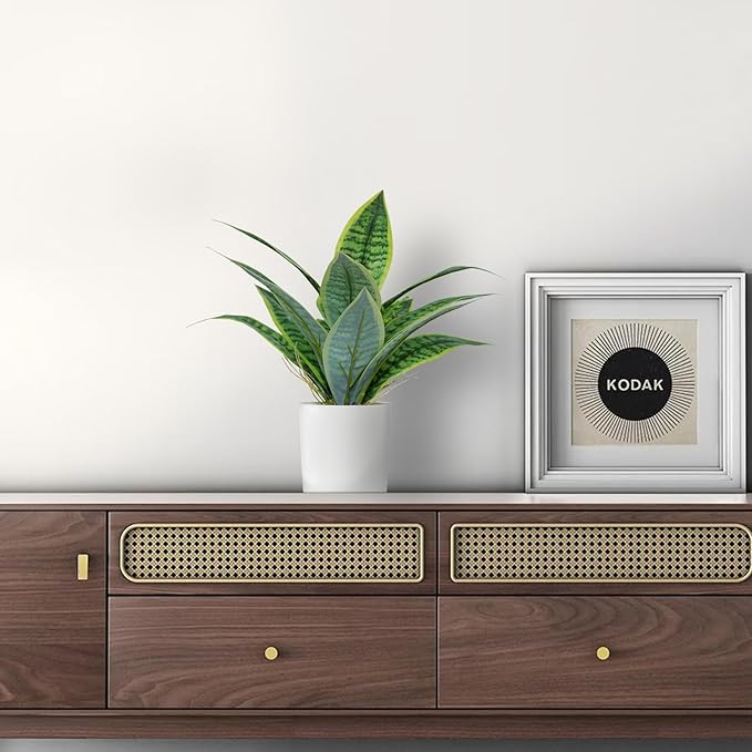 Artificial Fake Snake Plant Potted Tropical Faux Sansevieria Trifasciata Plants in White Plastic Pots Perfect for Indoor Home Decor Modern Living Room Office Housewarming Gift,Light Green 102