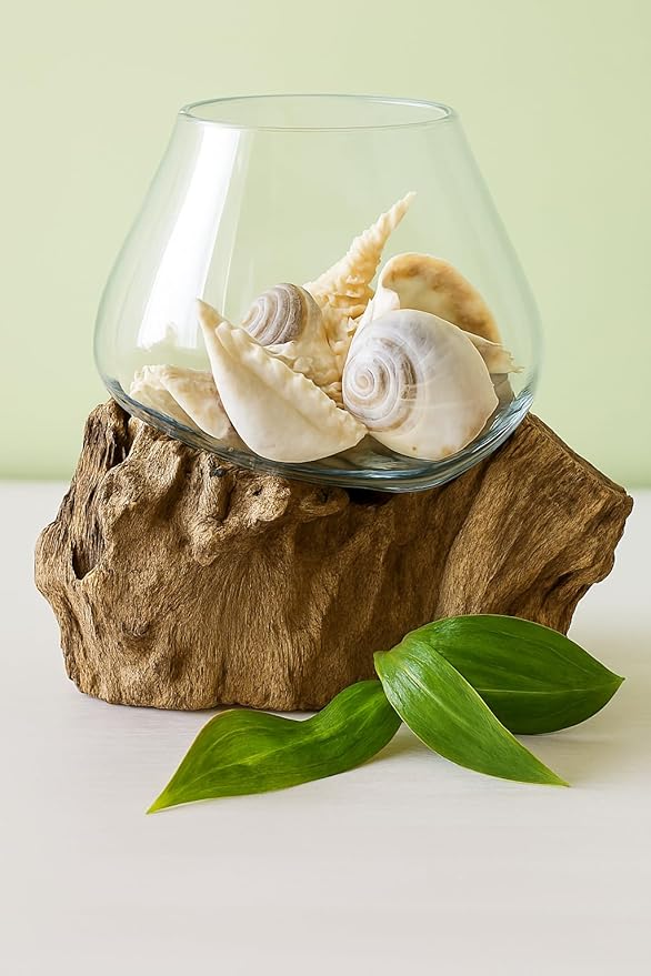 OMA Molten Glass on Driftwood – Hand Blown Vase, Terrarium, or Planter for Coastal & Boho Home Décor Centerpieces (6" - 7" High)