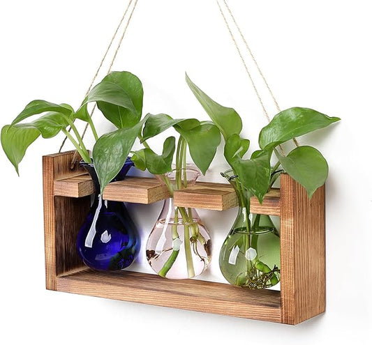 Plant Propagation Station Plant Terrarium Unique Birthday Gifts for Women Home Office Decor Planter with Wooden Stand - 3 Bulb Glass Vase
