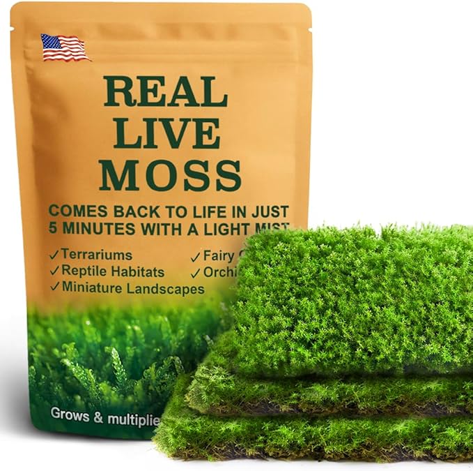 Live Moss – Racomitrium Moss (3 Sheets, Each Approx. 3.5"x7") for Terrariums, Moss Balls, Vertical Decor & Natural Plant Layouts – Naturally Grown, Reusable, Not Artificial
